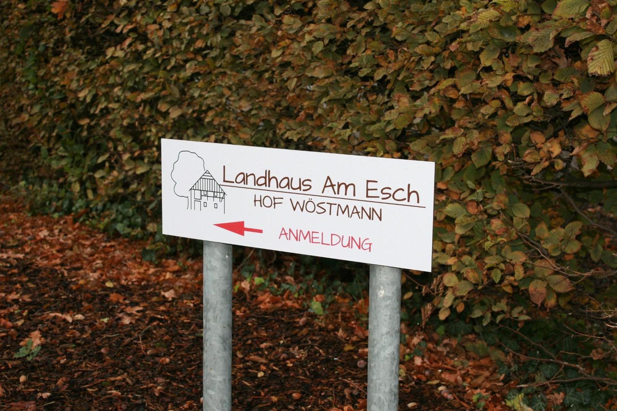 Am Esch Apartment Warendorf